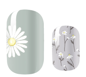 White Daisy Days