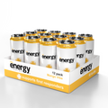 Mango Vibe 12-Pack